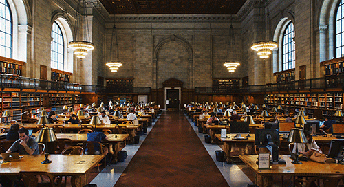 View of people in a library studying 