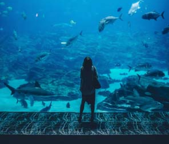 woman at aquarium looking at fish