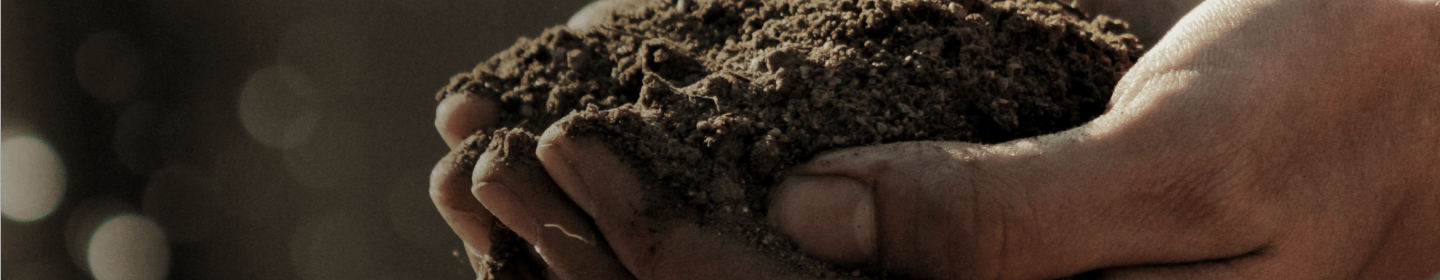 Hands lifting soil. 
