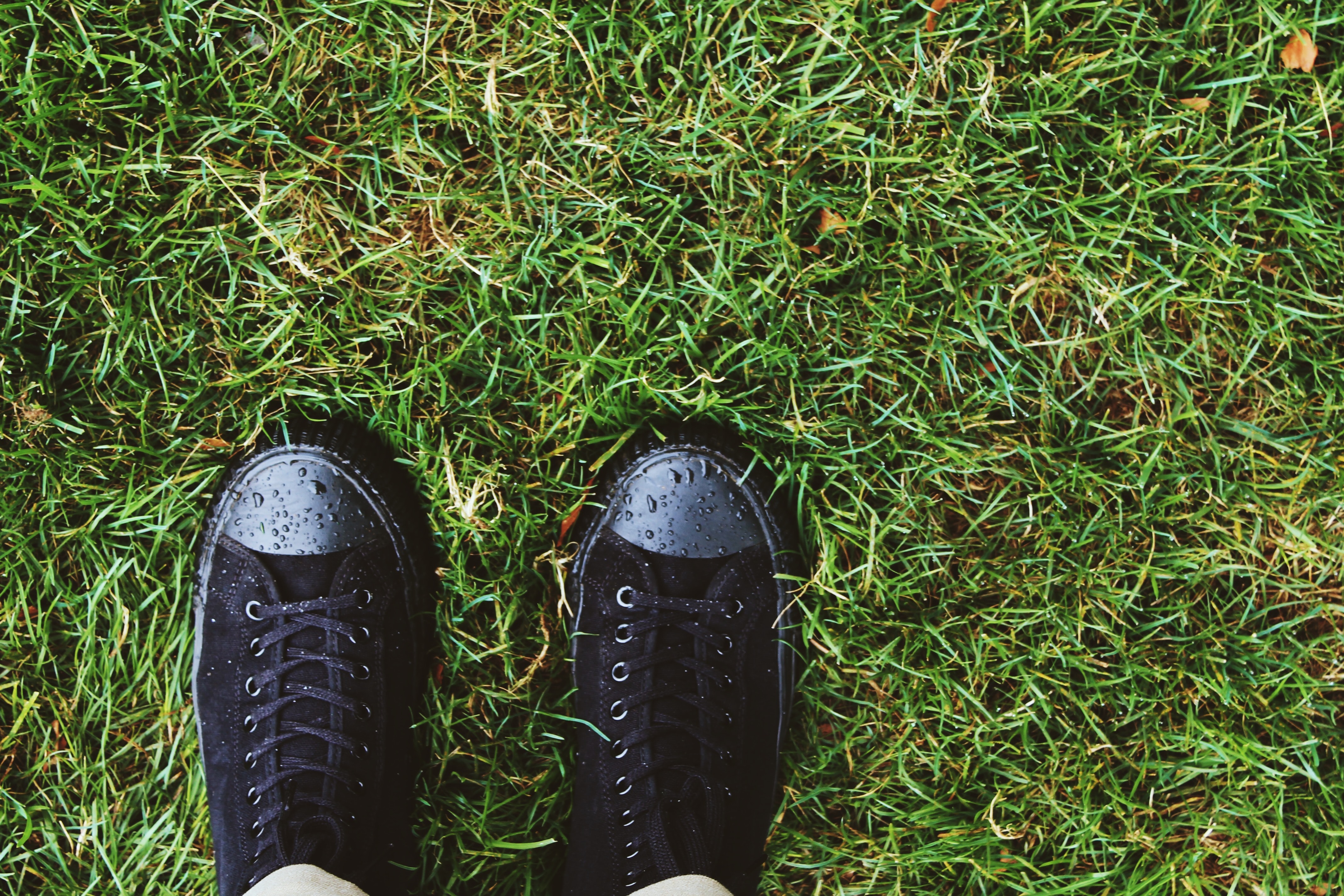 A person wearing a pair of black sneakers standing in the grass.