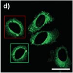 Discrepancies in research image data-2